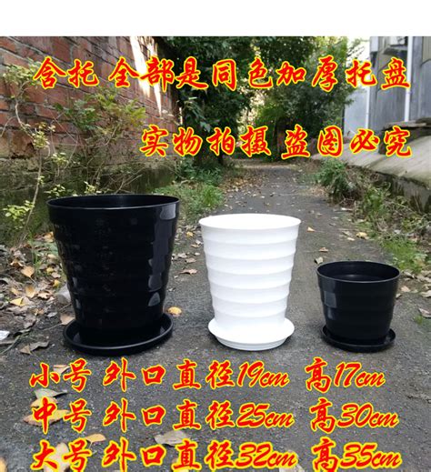 大型花盆哪裡買|大型 花盆